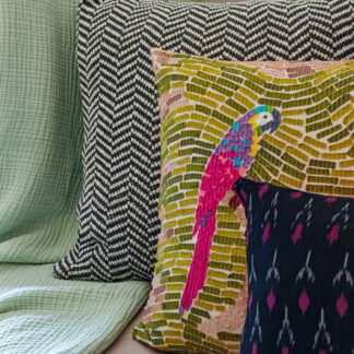 Calyz Macaw Curated Collection